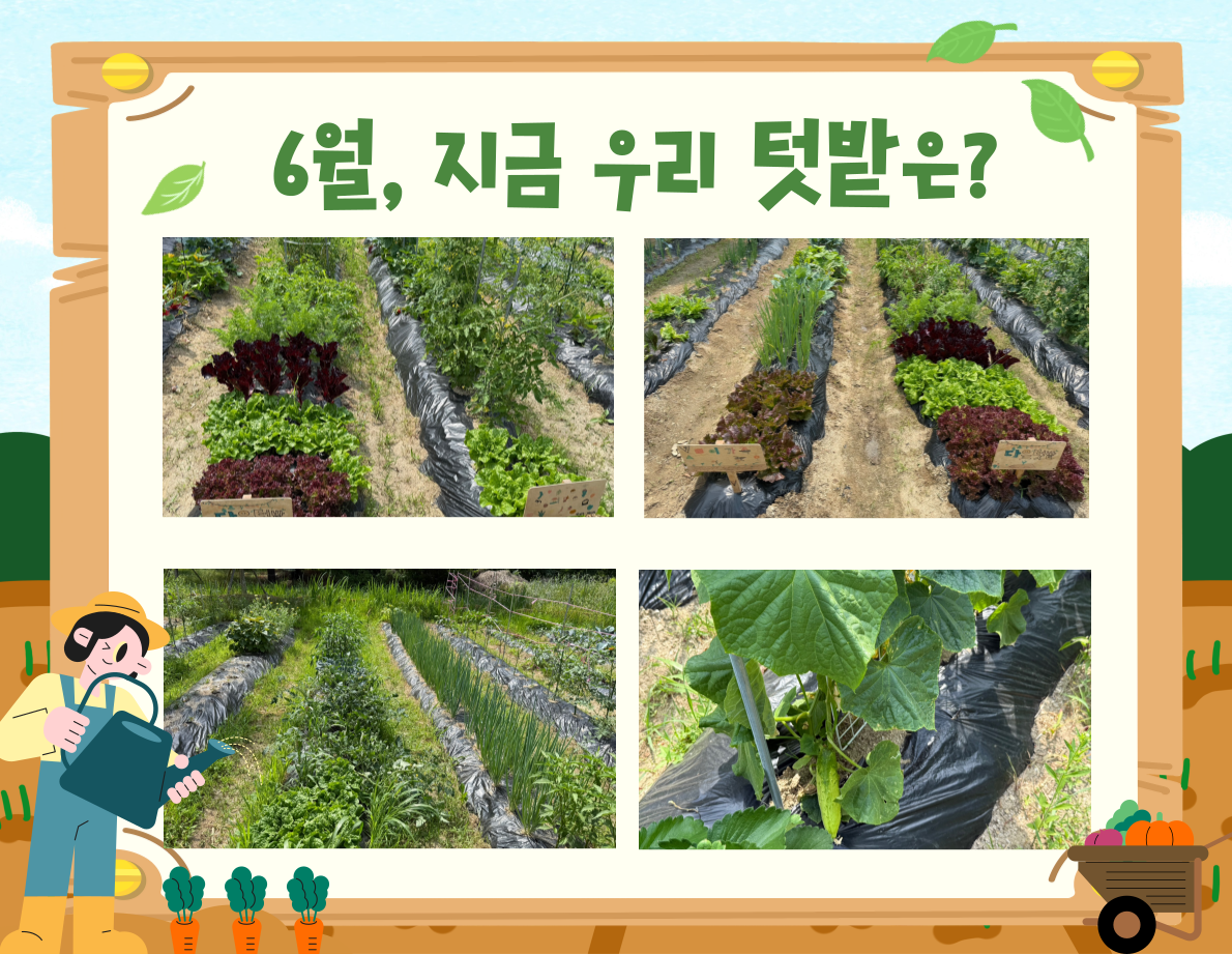 7d3ef19472eeb7fce302d2fc68d583bd_1749289687_1244.png