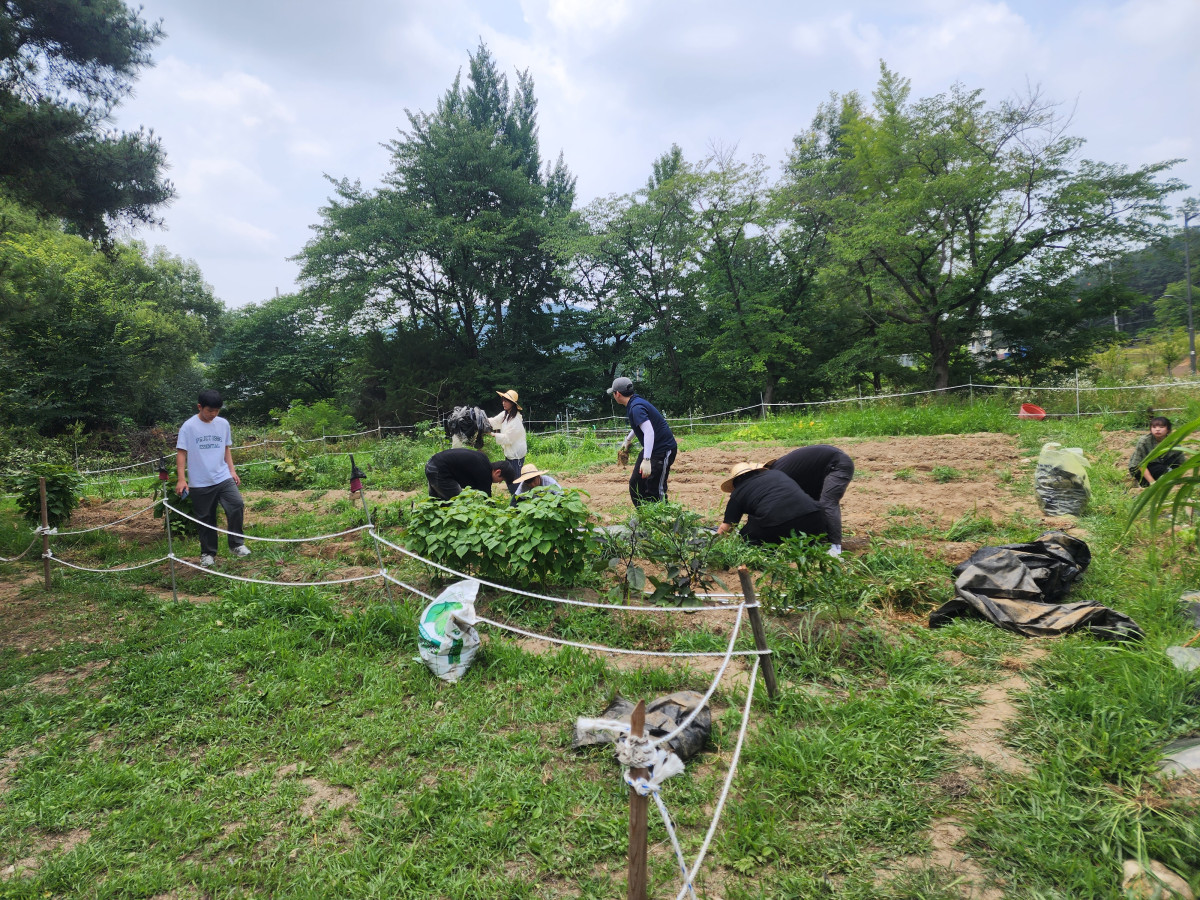 ab57c5dc42888d7df7f32ba753906ddf_1783155175_579.jpg
